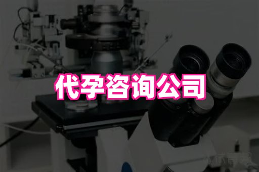 成都助孕网站 1