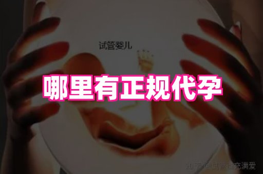 成都助孕网站 2