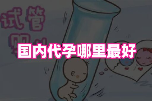 成都助孕网站 4